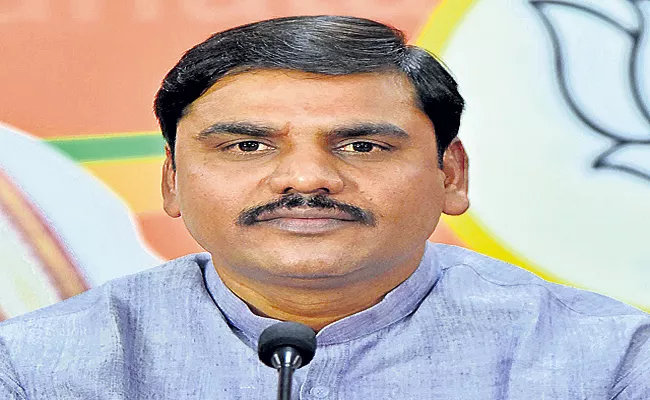 Vishnuvardhan Reddy Fires On Chandrababu - Sakshi