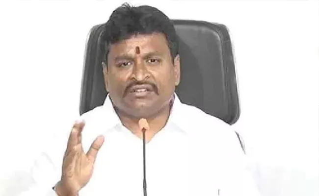 Minister Vellampalli Slams Chandrababu Naidu Over Airport Drama - Sakshi