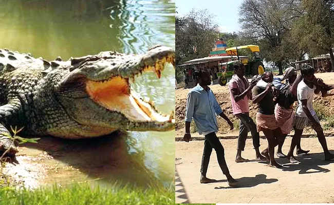 Cattle Herder Deceased In Crocodile Attack In Sangareddy District - Sakshi