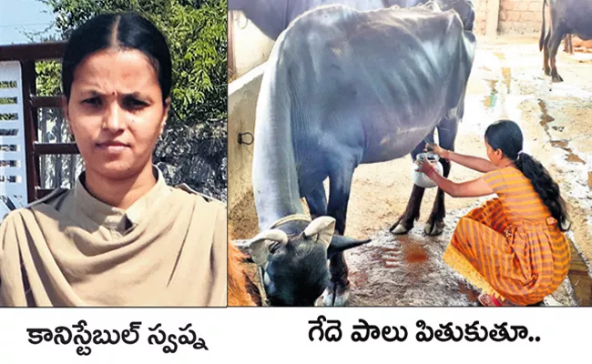 Mulugu Lady Police Constable Run Dairy Farm - Sakshi