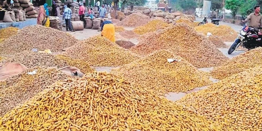 Central Minister Parshottam Rupala Said No Turmeric Board in Nizamabad - Sakshi