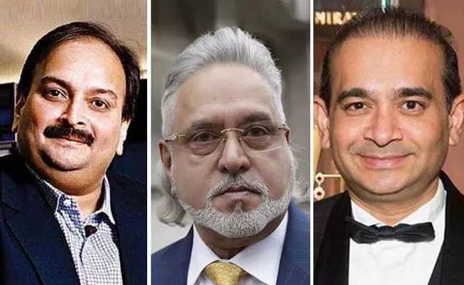  Mallya Nirav Modi Mehul Choksi Coming Back To Face Law: Sitharaman - Sakshi