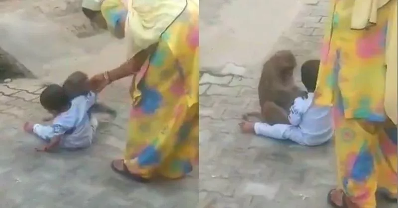 Monkey Hugging And Pampering Child Video Goes Viral - Sakshi