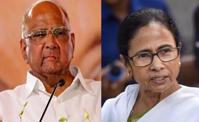 Sharad Pawar Campaign To Mamata Banerjee In West Bengal - Sakshi