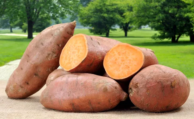 Eat Sweet Potato With Skin - Sakshi