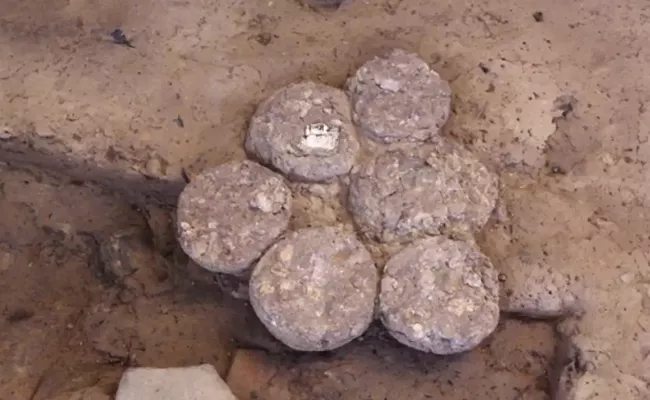 Laddoos Made With Cereals And Pulses Found During Harappan Site Excavation - Sakshi