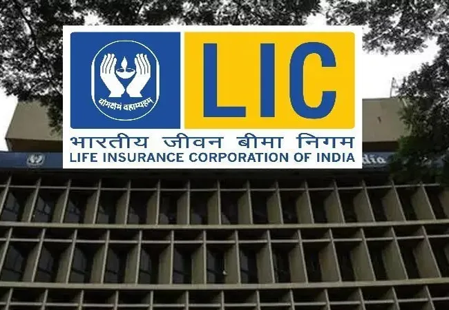 Cyber Crime : Under The Name Of LIC  Fraudsters Created Fake Policy - Sakshi