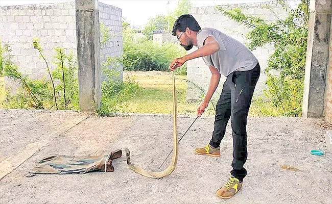 Snake Found In Secretariat In Hyderabad - Sakshi