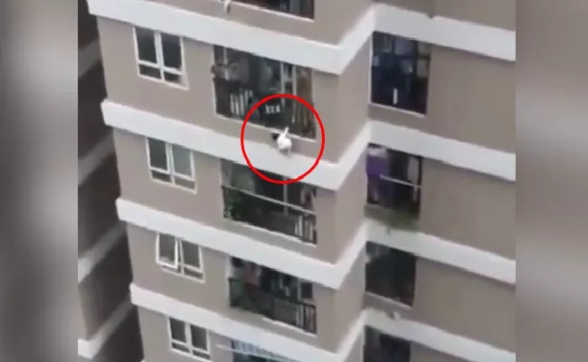 Vietnam Delivery Driver Catches Toddler Who Fell From 12th Storey - Sakshi