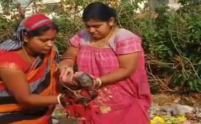 New Born Girl Child Left On Cow Dung Pit Odisha Case Filed - Sakshi