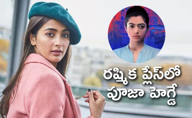 ThalapathyVijay65 Update: Is Rashmika Mandanna To Replace Pooja Hegde - Sakshi