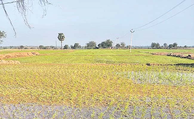 Suryapet: Gurrambodu Land Dispute Resolve As Early As Possible - Sakshi