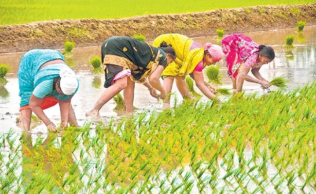 Womens Day: Women In Agriculture Not Getting Identity - Sakshi