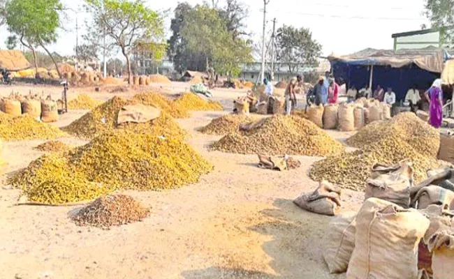 Turmeric Price Upto RS 10000 In Nizamabad Market Telangana - Sakshi