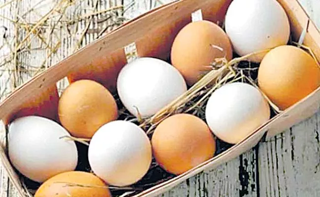 White Or Brown Which Chicken Eggs Are Better For Human Health - Sakshi