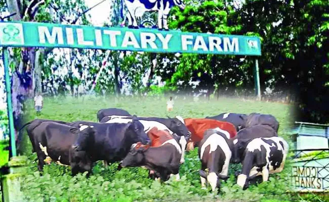 Indian Army Closes Military Farms After Service of 132 Years - Sakshi