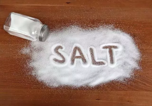 Side Effects Of Consuming Too Much Salt On Human Body - Sakshi