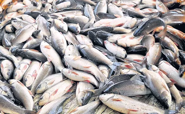 Fall In Fish Prices Due To Covid - Sakshi