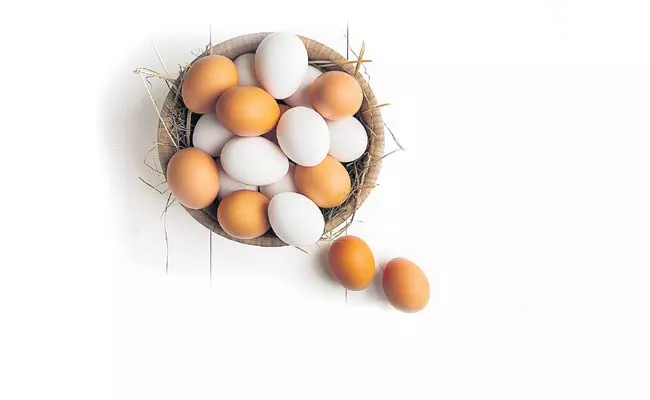 Brown Colour Eggs Vs White Eggs: Do You Know These Facts - Sakshi