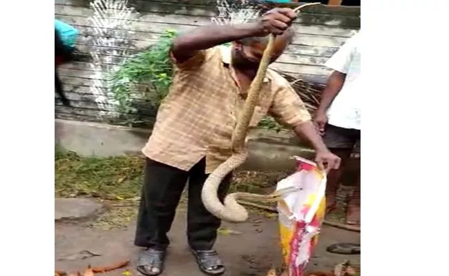 Rare White Snake Caught In East Godavari - Sakshi