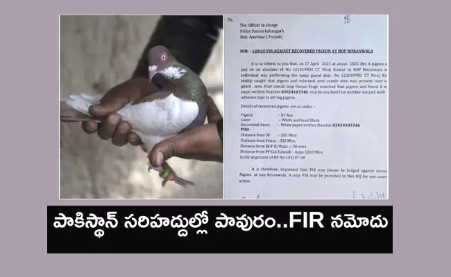 Fir Against Pigeon Caught White Paper India Pakistan Border - Sakshi