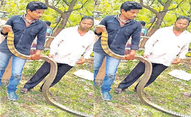 Snake Helpers Catch 14 Feet Giri Nagu In East Godavari - Sakshi