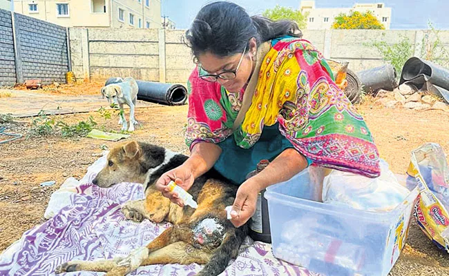 Woman In Nizampet Taking Care Of Street Dogs - Sakshi