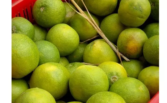 Telangana: No Supply Orange Price Hike - Sakshi