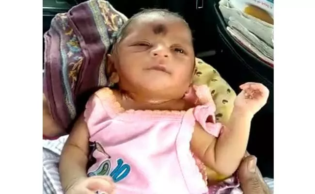 Newborn Baby Girl Found At Banana Garden In YSR District - Sakshi