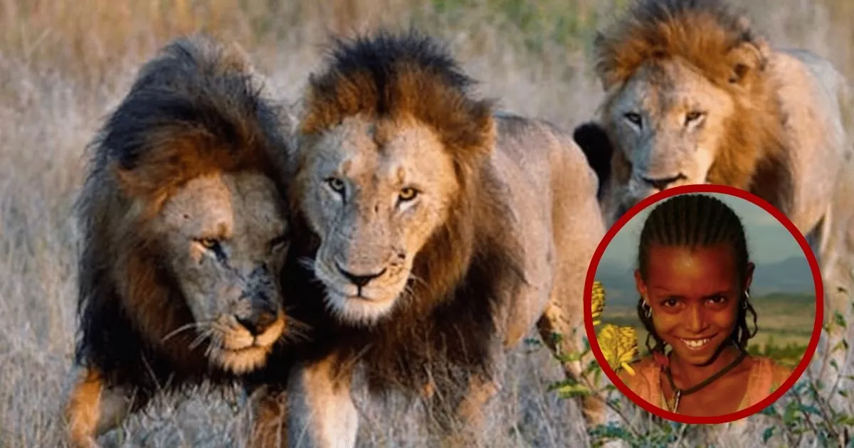 Ethiopian Lions Rescue Girl Kidnapped For Marriage - Sakshi