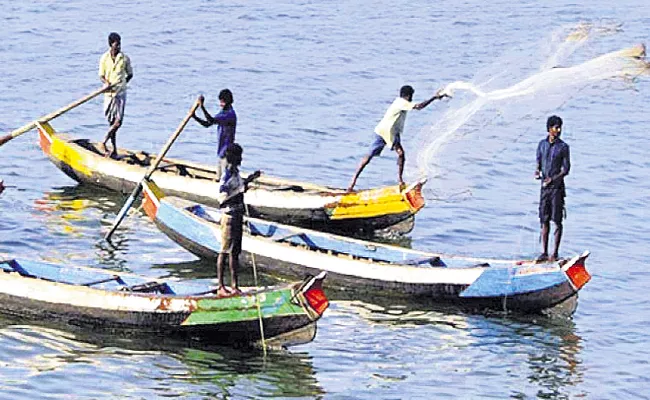 Above 3,450 crore loan to the fisheries sector - Sakshi