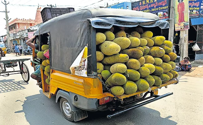 Northerners also praised the garden crop of Jackfruit - Sakshi