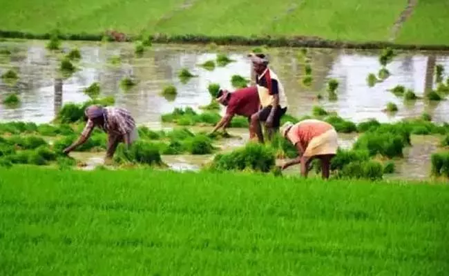 YSR Rythu Bharosa Scheme Is Applicable To Yanam Farmers - Sakshi