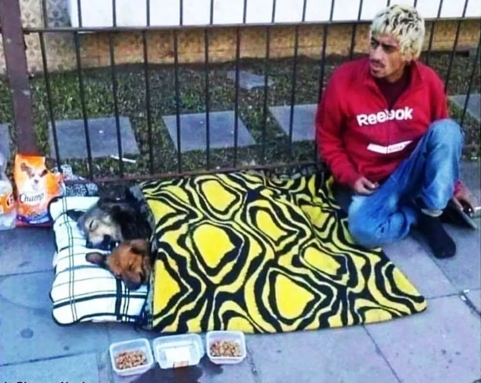 Homeless Man Gives Shelter To Street Dogs In Viral Picture - Sakshi