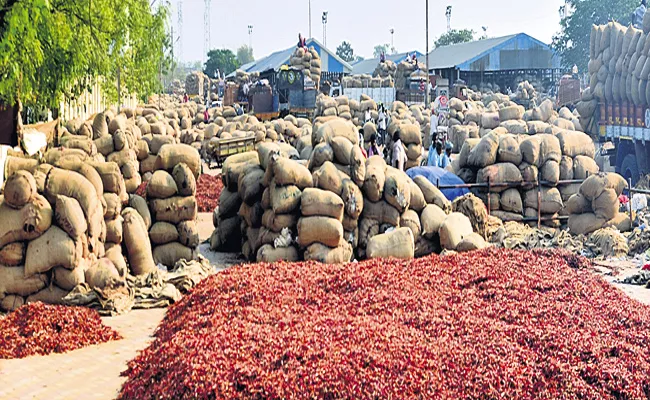 Mirchi Flow To Guntur Market From Rayalaseema - Sakshi