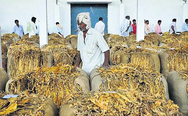 Andhra tobacco to abroad - Sakshi