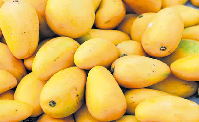 Huge Exports of mangoes even in corona times - Sakshi