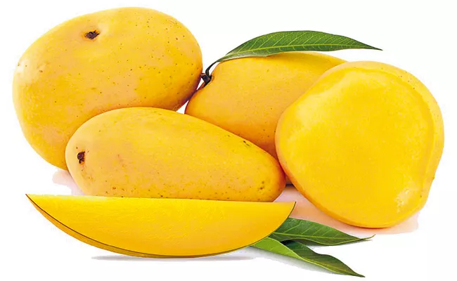 Six ethephon packets are being used for 10 kg of mangoes in Nunna Market - Sakshi