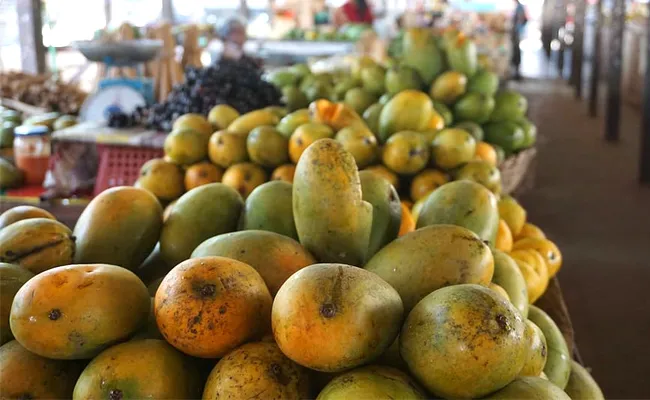 Coronavirus Outbreak: Mango Exports Hit, Farmers Affected - Sakshi