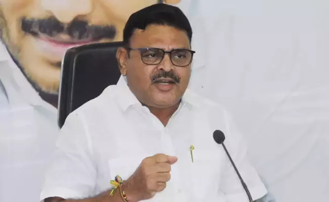 Amaravati: Ysrcp Mla Ambati Rambabu Comments Raghurama Krishnamraju - Sakshi