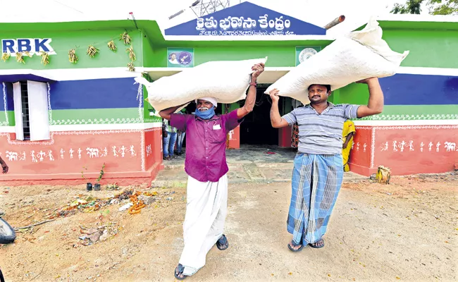 Certified seeds ready for distribution - Sakshi