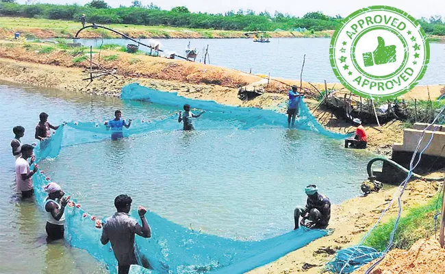 Aqua Cultivation target for 8,000 hectares by 2021–22 - Sakshi