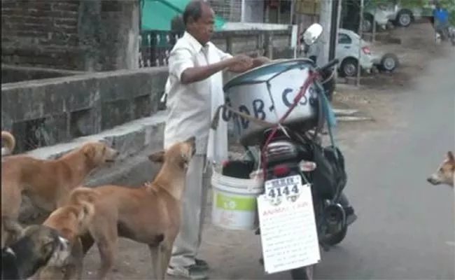 Nagpur Man Feeding Dogs Chicken Biryani Beginning Of Pandemic - Sakshi