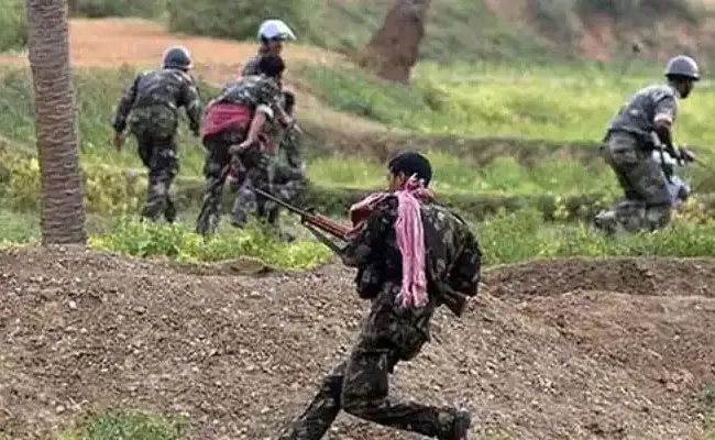 Eight Maoists Killed In Encounter At Maharashtra Gadchiroli - Sakshi