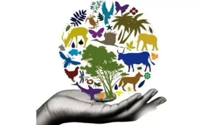 Special Day: InterNational Biodiversity History And Story - Sakshi