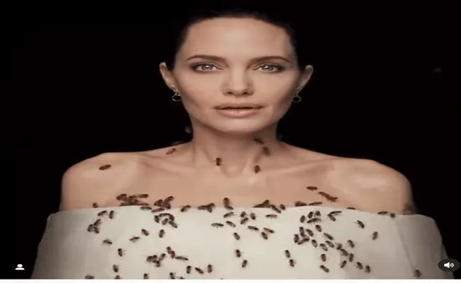 Angelina Jolie Poses With Live Bees for 18 Minutes result - Sakshi