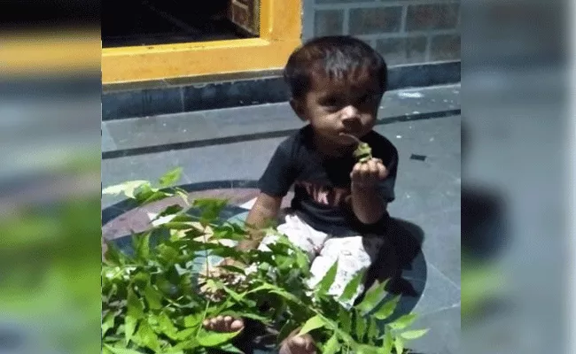 Mahabubnagar: 15 Month Old Baby Boy Eating Neem Leaves - Sakshi