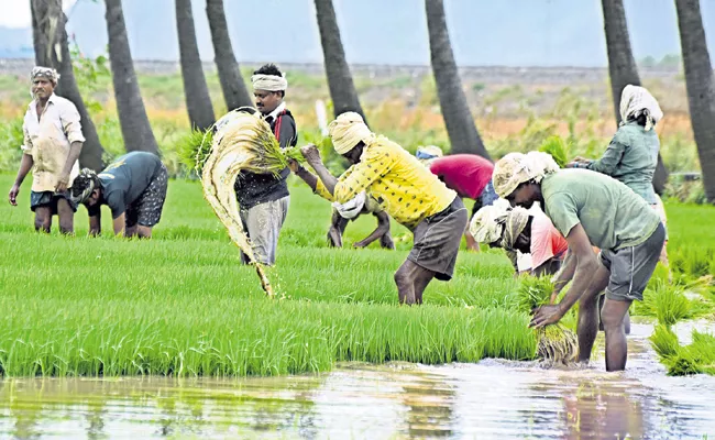 Rural economy is good in AP and Works for everyone even in corona disaster - Sakshi