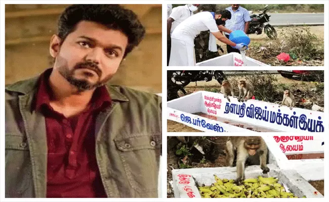 Vijay Fans Builds Water Tank For Monkeys In Chennai - Sakshi