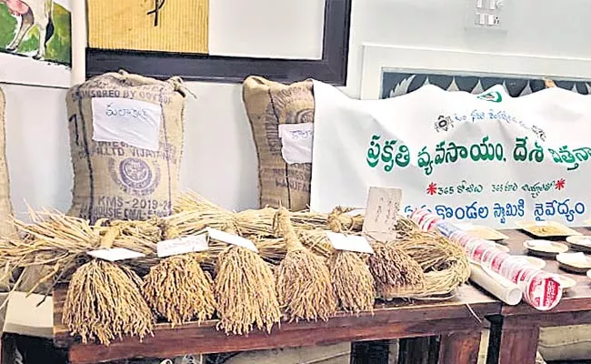 Natural Farming: 365 Domestic Rice Varieties Used For TTD Prasadam Making - Sakshi